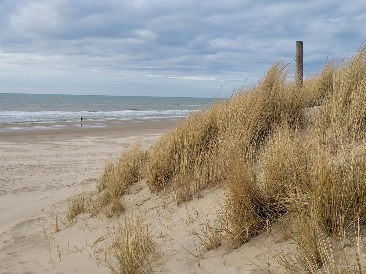 Tiny Villa De Haas Met Infraroodsauna Egmond aan Zee Exteriér fotografie