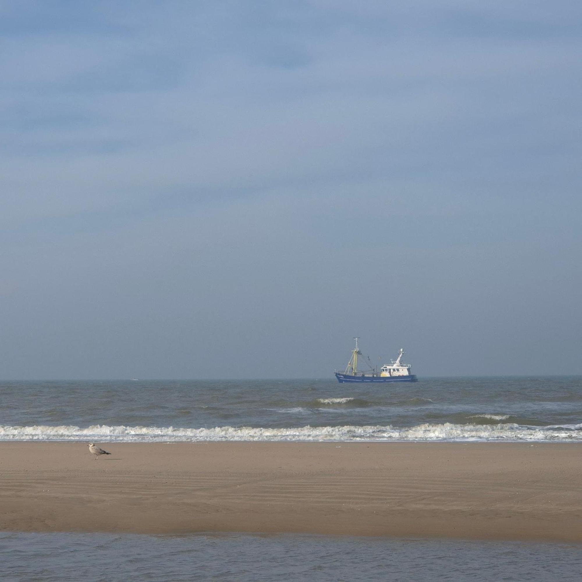 Tiny Villa De Haas Met Infraroodsauna Egmond aan Zee Exteriér fotografie