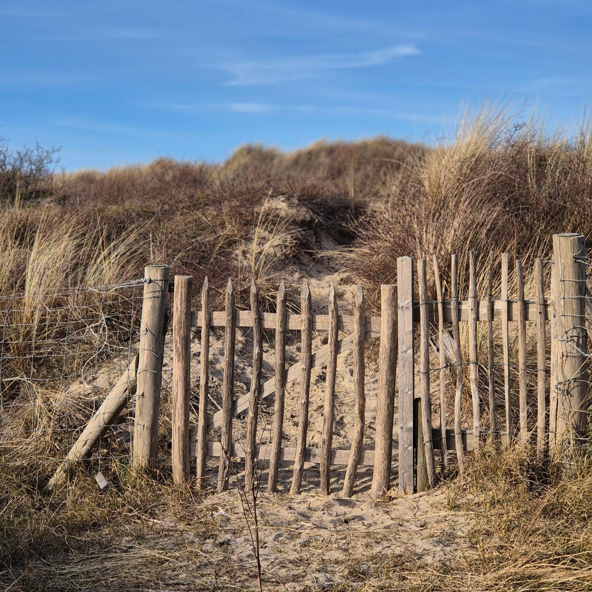 Tiny Villa De Haas Met Infraroodsauna Egmond aan Zee Exteriér fotografie